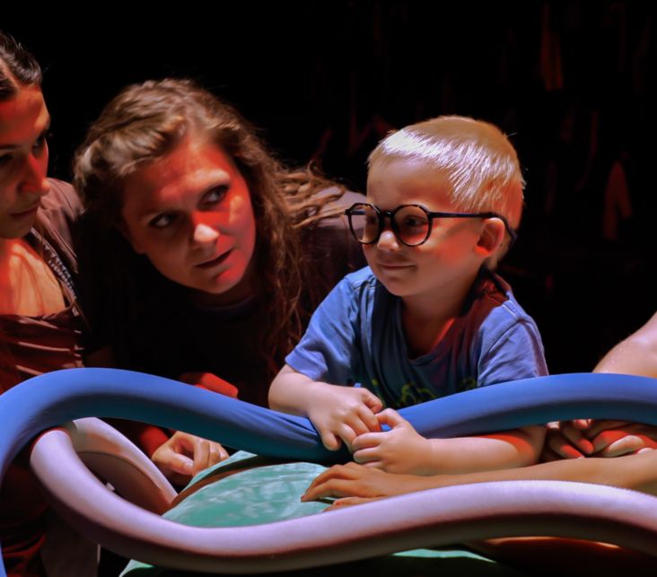 The Secret of Moonlight, photo 4